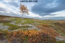 syysilta