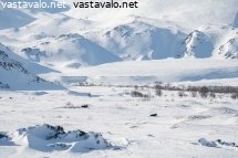 kaksi-hirvea-tunturilaaksossa