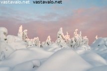 pakkaspaivan-valoa-vaaran-laella
