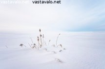 jarviruokoja-jaalakeuden-reunalla