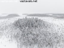 soiden-ja-metsien-mosaiikki