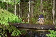 geokatkoilya