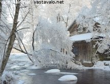 lumiset-puut-koskella