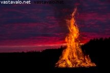 kokko
