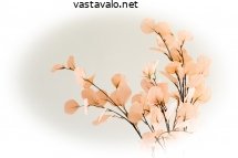 vaaleanpunaiset-teralehdet