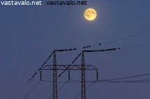 sahkolinjat