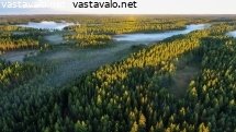 maisema
