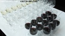 viinilasit