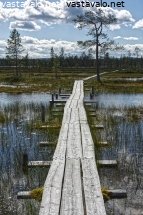 pitkospuureitti-tunturiaavalla