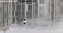 citytelkka