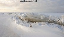 ahtojaa