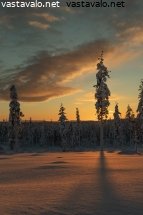 lappi