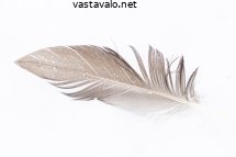 sulka