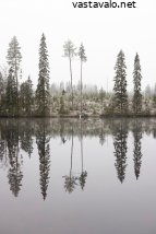 hakkuuaukean-heijastus-sumussa
