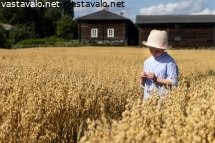 poika-kaurapellossa