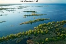 merenkurkun-maan-kohoaminen